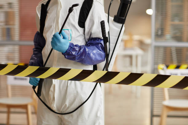 Professional Sewage Cleanup technician working in Alto, MI